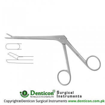 Ferris-Smith Leminectomy Rongeur Straight Stainless Steel, 15.5 cm - 6" Bite Size 4 mm